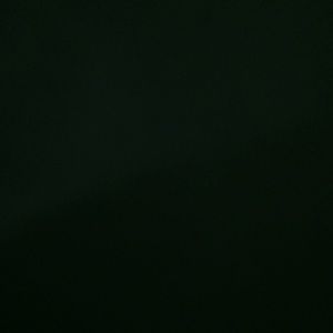 Meet your Posher, Tamara